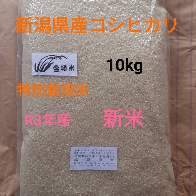 特別栽培米新潟県産コシヒカリ10k