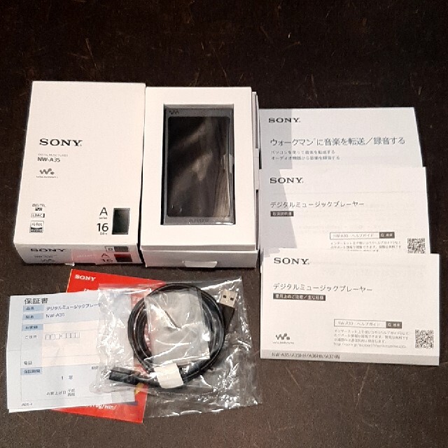ランキングTOP10 SONY WALKMAN NW-A35 ソニー ウォークマン