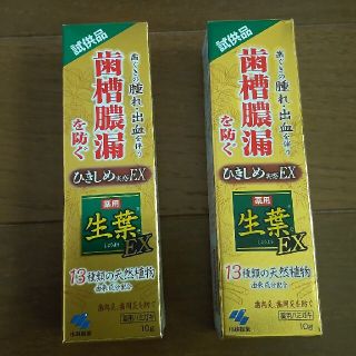 コバヤシセイヤク(小林製薬)のプロフ。じろう様　生葉　歯磨き粉　10g  2個(歯磨き粉)