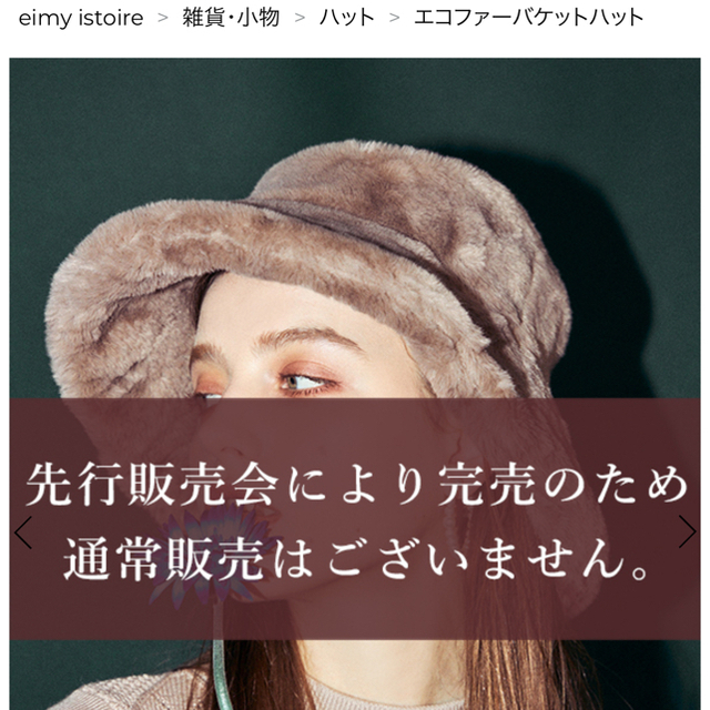 eimy istoire(エイミーイストワール)のエイミーイストワール エコファーバケットハット レディースの帽子(ハット)の商品写真