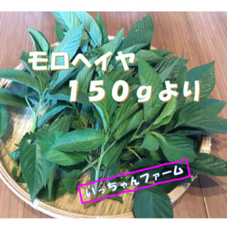 Mina様専用　安全・安心野菜　モロヘイヤ２００g  (野菜)