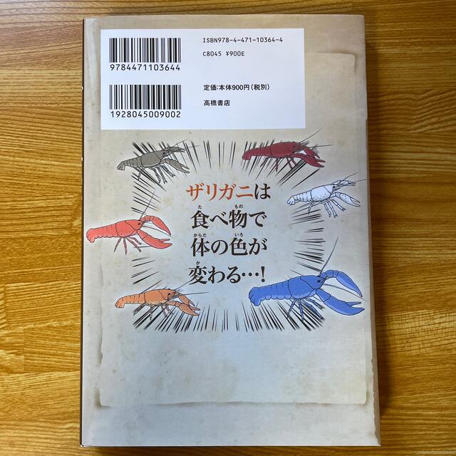 ざんねんないきもの事典 おもしろい！進化のふしぎ エンタメ/ホビーの本(その他)の商品写真