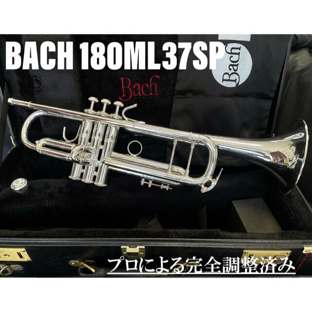 【良品 メンテナンス済】BACH 180ML37SP トランペット