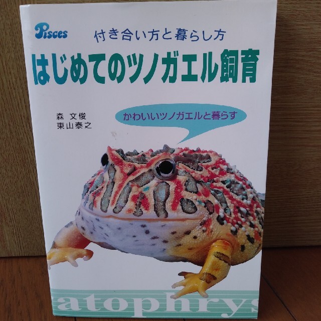 はじめてのツノガエル飼育 付き合い方と暮らし方 エンタメ/ホビーの本(住まい/暮らし/子育て)の商品写真