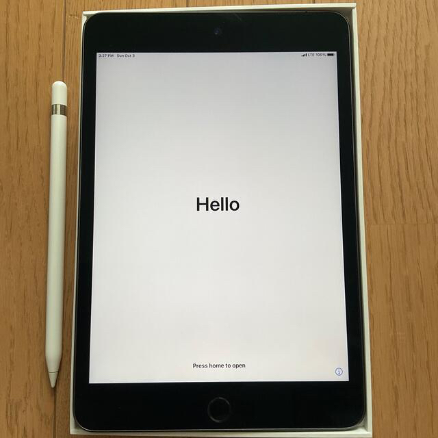 iPad mini5 256GB cellular + apple pencil