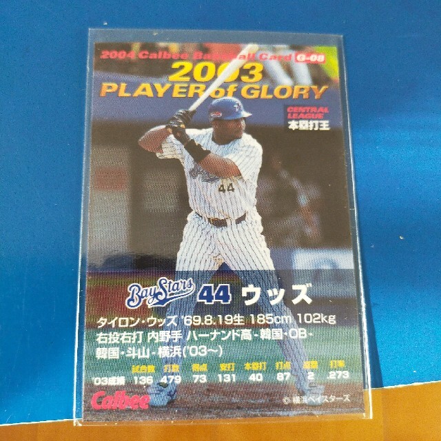 カルビー(カルビー)の2004 カルビープロ野球チップス タイロン・ウッズ黒バージョン エンタメ/ホビーのタレントグッズ(スポーツ選手)の商品写真