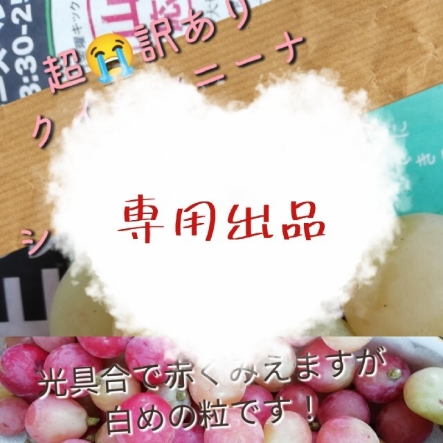 専用◆◇超訳あり粒　　クイーンニーナ　シャインマスカット　山梨県　 食品/飲料/酒の食品(フルーツ)の商品写真