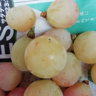 専用◇◇超訳あり粒 クイーンニーナ シャインマスカット 山梨県 の通販 ...