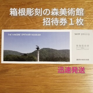 箱根 彫刻の森 美術館 招待券 １枚(美術館/博物館)