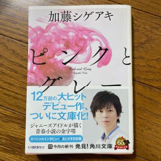 ジャニーズ(Johnny's)のピンクとグレ－(文学/小説)