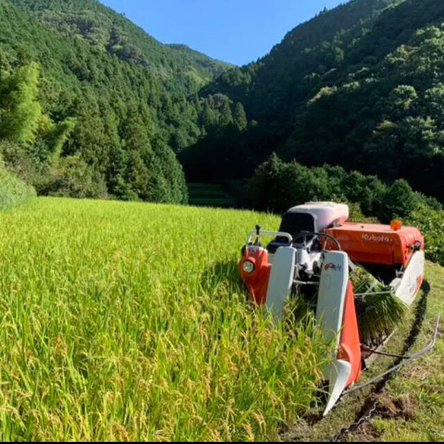 米/穀物棚田のミルキープリンセス 減農薬20kg 送料・精米サービス