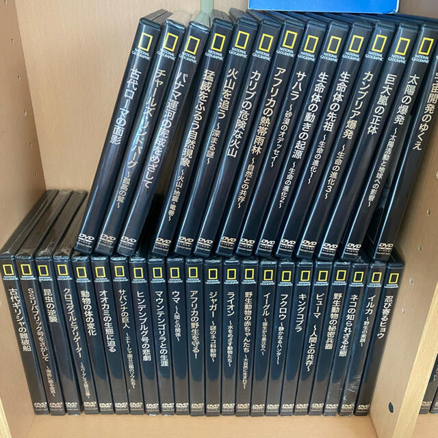 DVD ナショナルジオグラフィック まとめ売り-