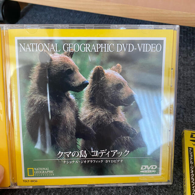 DVD ナショナルジオグラフィック まとめ売り-