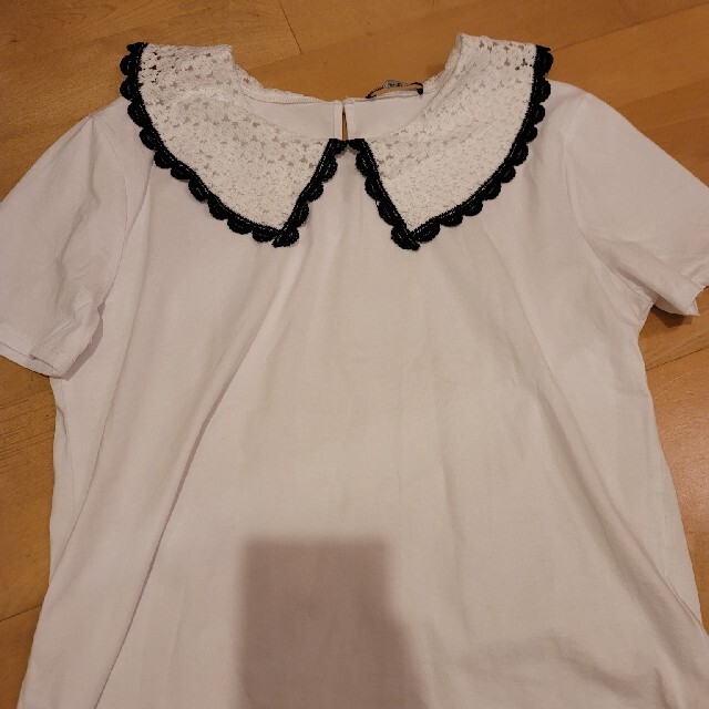 ZARA(ザラ)のZARA♥️新品レース襟Tシャツ レディースのトップス(Tシャツ(半袖/袖なし))の商品写真