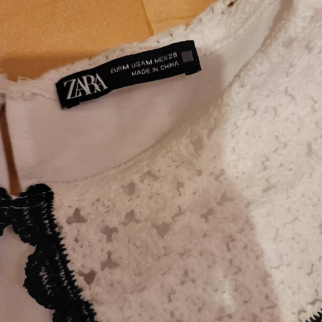 ZARA(ザラ)のZARA♥️新品レース襟Tシャツ レディースのトップス(Tシャツ(半袖/袖なし))の商品写真