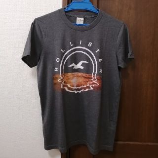 ホリスター(Hollister)のHOLLISTER ホリスター かもめと夕焼け 半袖 Tシャツ(Tシャツ(半袖/袖なし))