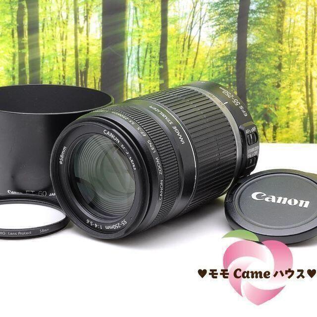 キャノン望遠レンズ★EF-S 55-250mm手ブレ補正つき☆2006-1