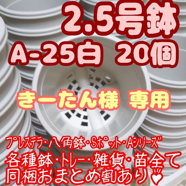 プラ鉢2.5号鉢【A-25】20個 スリット鉢 丸 プレステラ 多肉植物 ハンドメイドのフラワー/ガーデン(プランター)の商品写真