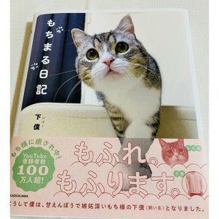 カドカワショテン(角川書店)のYouTubeで大人気❣️猫 もちまる日記【写真集】(その他)