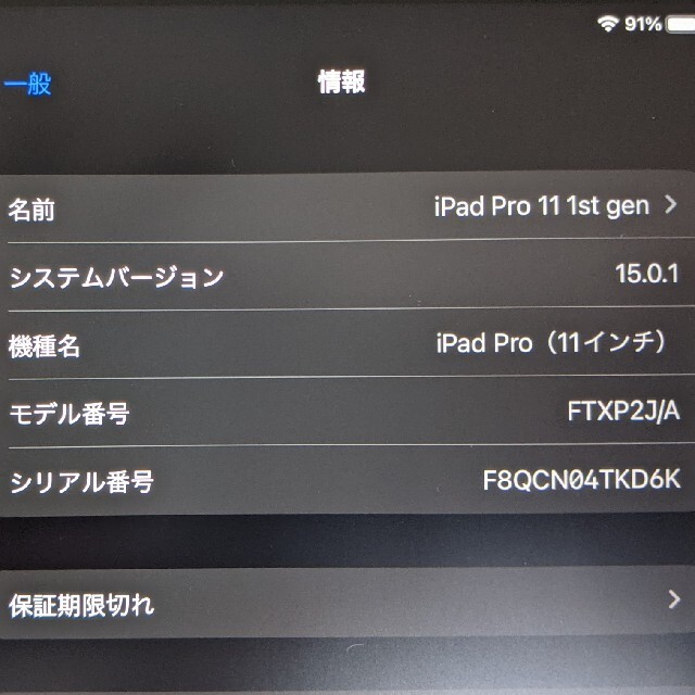 iPad Pro 11 第1世代 wifi 64GB シルバー ケース付き