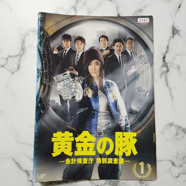 篠原涼子★岡田将生『黄金の豚-会計検査庁 特別調査課』レンタル落ちDVD★全巻