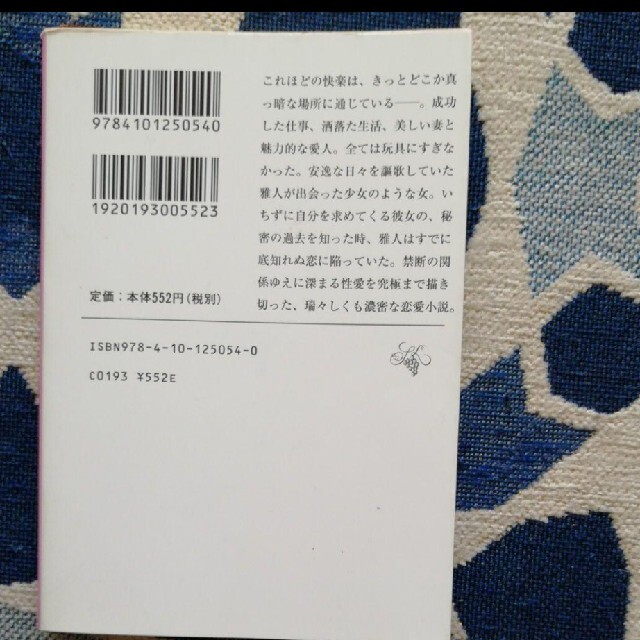 夜の桃 エンタメ/ホビーの本(文学/小説)の商品写真