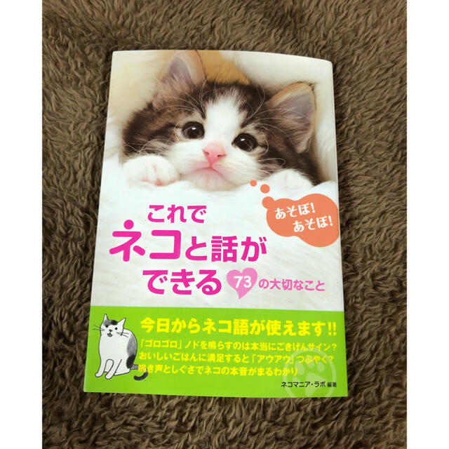 これでネコと話ができる　７３の大切なこと エンタメ/ホビーの本(文学/小説)の商品写真