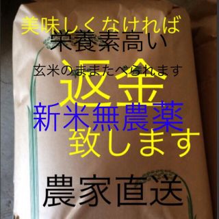 平日様専用　新米　無農薬　純こしひかり30㎏  玄米(米/穀物)