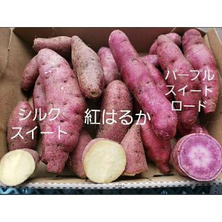 さつまいも　たべ比べセット(野菜)