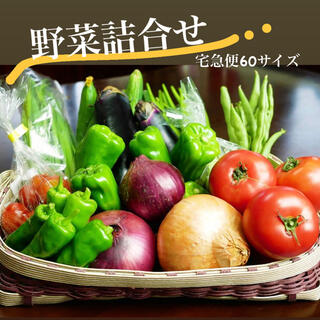 【数量限定】無農薬野菜詰合せ★宅急便60サイズ(野菜)