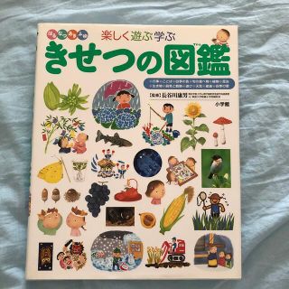 きせつの図鑑 はるなつあきふゆ楽しく遊ぶ学ぶ(絵本/児童書)