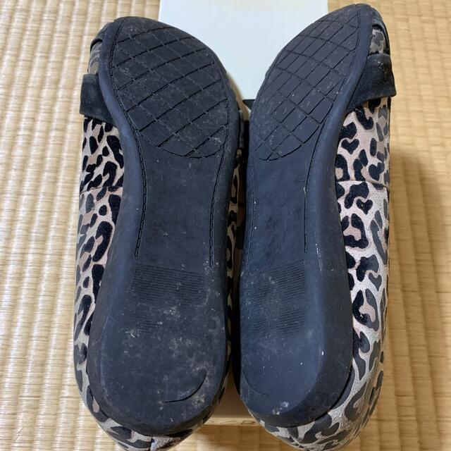 BCBGMAXAZRIA(ビーシービージーマックスアズリア)のBCBG レオパードのペタンコパンプス　24.5cm バレエシューズ　靴　リボン レディースの靴/シューズ(バレエシューズ)の商品写真