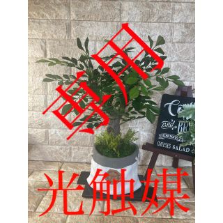 光触媒　人工観葉植物　ウォールグリーン　造花　アレンジ　トネリコ51(置物)