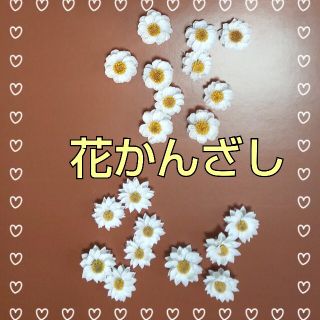 花かんざし♠２０輪♠二種♠少量　お試し　ハーバリウム　リース　アロマワックス(ドライフラワー)