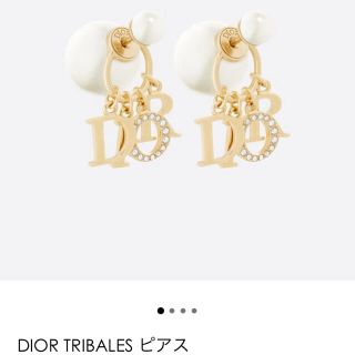 ディオール(Christian Dior) メンズピアス(両耳用)の通販 28点 