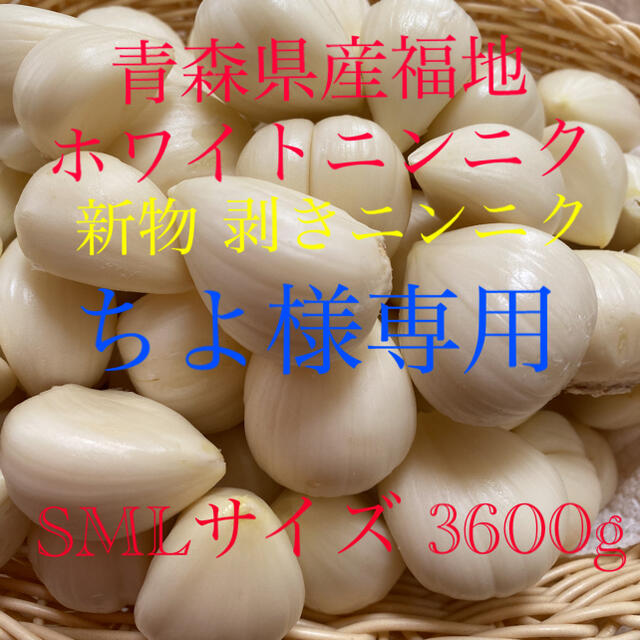 ちよ様専用 青森県産福地ホワイトニンニク 皮なしSMLサイズ3600g 食品/飲料/酒の食品(野菜)の商品写真