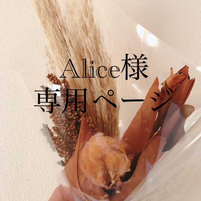 Alice様専用ページ ハンドメイドのキッズ/ベビー(外出用品)の商品写真