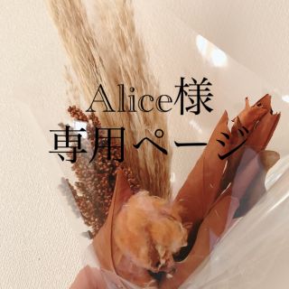 Alice様専用ページ(外出用品)