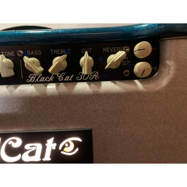 BAD CAT 30R ヘッド　バッドキャット　レア！？ 楽器のギター(ギターアンプ)の商品写真