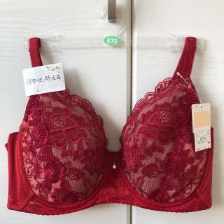 ウィング(Wing)のWacoal Wing レシアージュ ブラジャー　E75(ブラ)