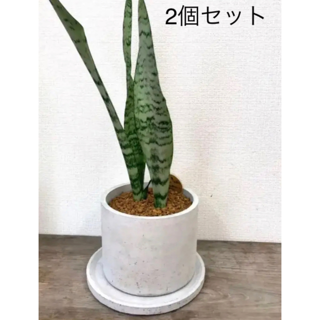 オシャレセメント植木鉢受け皿付き　2個セット ハンドメイドのフラワー/ガーデン(プランター)の商品写真