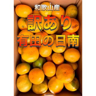 和歌山県産  訳あり　有田の日南みかん　10kg みかんキング(フルーツ)