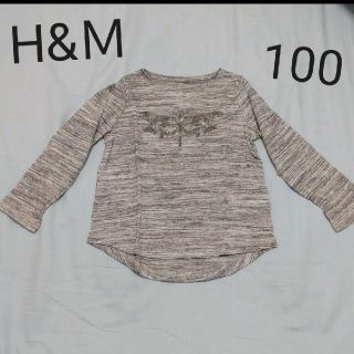 エイチアンドエム(H&M)の専用 H&Ｍ グレートンボカットソー 長袖シャツ 98cm-104cm 2-4Y(Tシャツ/カットソー)