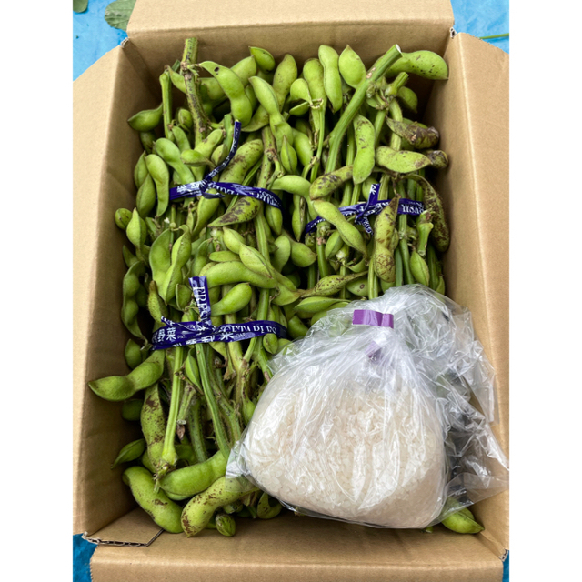 丹波篠山　黒枝豆　2kg （お米プレゼント付き） 食品/飲料/酒の食品(野菜)の商品写真