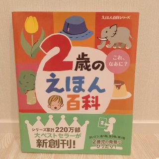 コウダンシャ(講談社)の【値段修正】「２歳のえほん百科 これ、なあに？ 改訂版」(絵本/児童書)