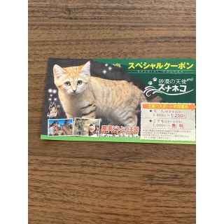 那須どうぶつ王国　スペシャルクーポン　割引券(動物園)