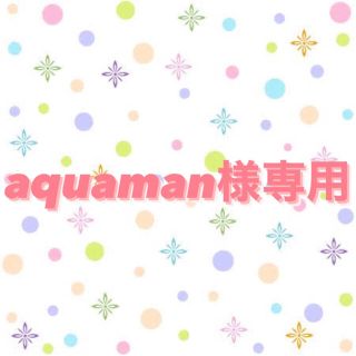 aquaman様専用(その他)