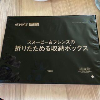 スヌーピー(SNOOPY)のsteady 付録(小物入れ)