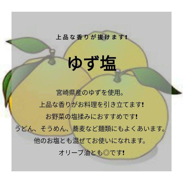 【お得な大容量❗️】ゆず塩詰め替えパウチパック 食品/飲料/酒の食品(調味料)の商品写真