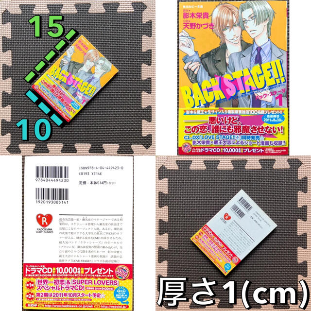 角川書店(カドカワショテン)のボーイズラブ bl本 影木栄貴 天野かづき 角川文庫 漫画 まとめ売り セット エンタメ/ホビーの漫画(ボーイズラブ(BL))の商品写真